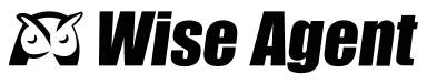 wise-agent